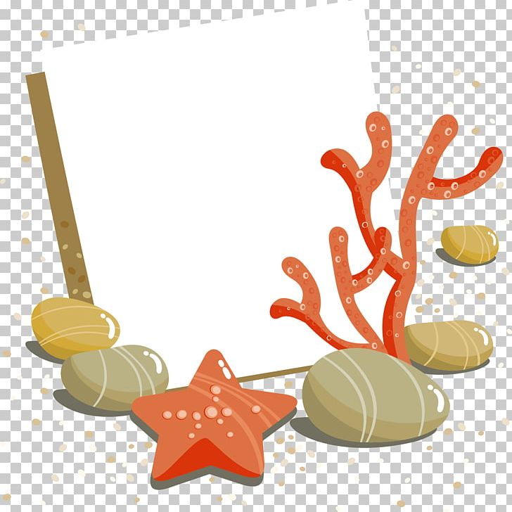 Starfish PNG, Clipart, Animals, Beach, Beach Vector, Camera Logo, Child Free PNG Download