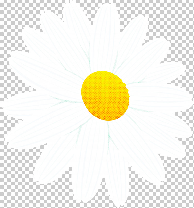 Marguerite Flower Spring Flower PNG, Clipart, Circle, Logo, Marguerite Flower, Sky, Smile Free PNG Download
