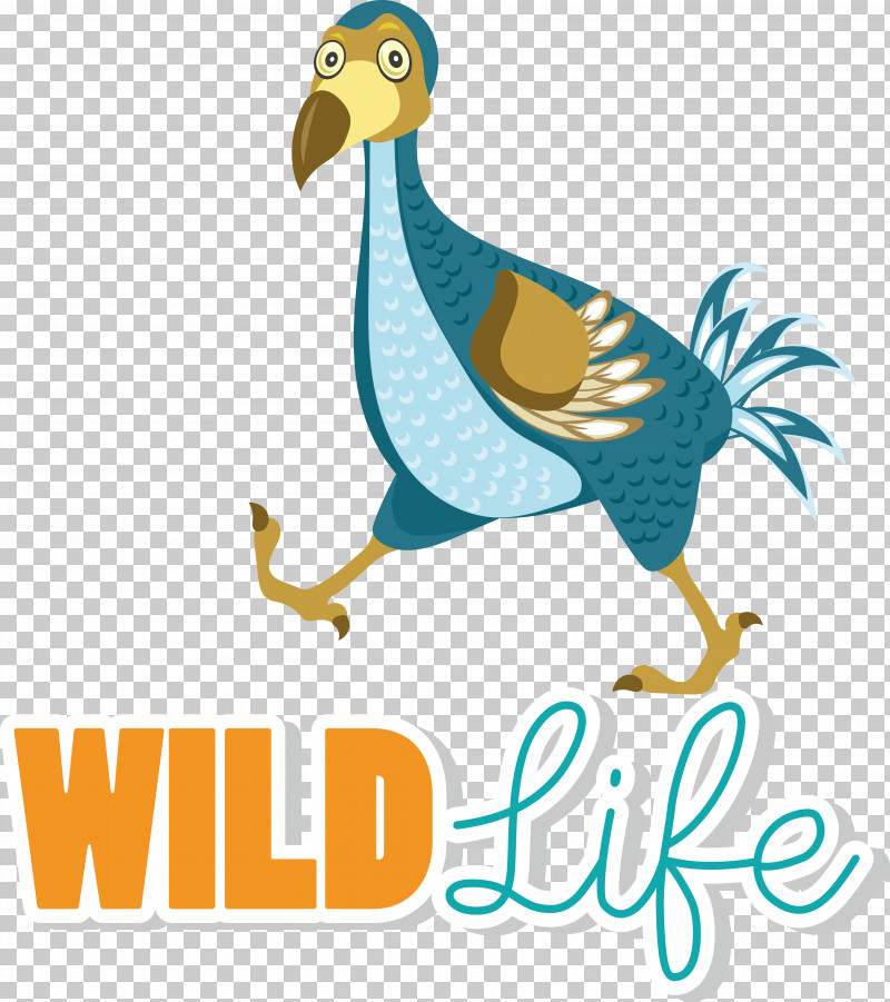 Fowl Beak Birds Duck Wildlife PNG, Clipart, Beak, Birds, Duck, Fowl, Logo Free PNG Download
