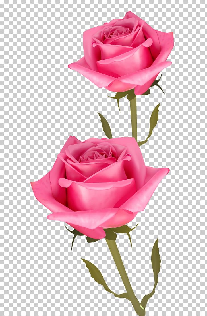 Cut Flowers Pink PNG, Clipart, Centifolia Roses, China Rose, Computer Icons, Cut Flowers, Download Free PNG Download