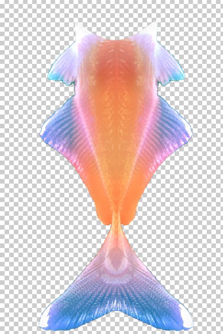Siamese Fighting Fish Tail Mermaid PNG, Clipart, Animal, Animals, Fish, Fish Fin, Fishtales Free PNG Download