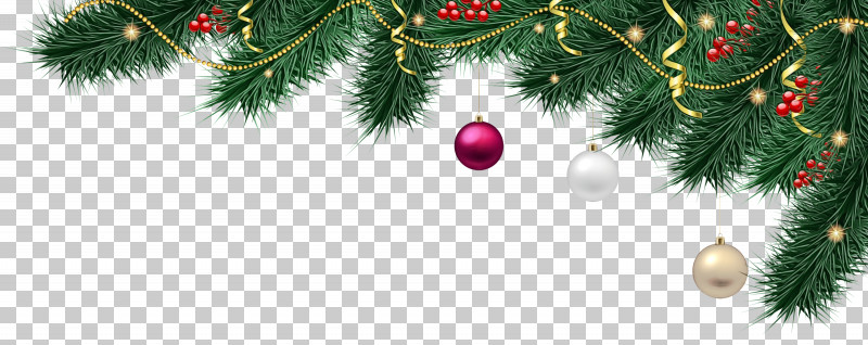Christmas Ornament PNG, Clipart, Christmas Day, Christmas Ornament, Christmas Tree, Conifers, Evergreen Free PNG Download