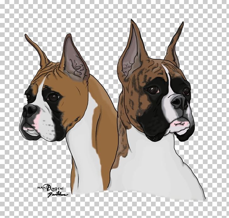 Boxer Valley Bulldog Dog Breed Snout PNG, Clipart, Boxer, Boxer Dog, Breed, Bulldog, Carnivoran Free PNG Download