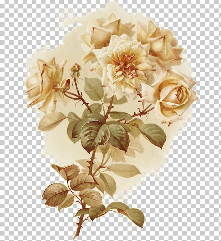 Garden Roses Painting Printmaking Art Canvas Print PNG, Clipart, Art, Artificial Flower, Canvas, Christie Repasy, Cut Flowers Free PNG Download