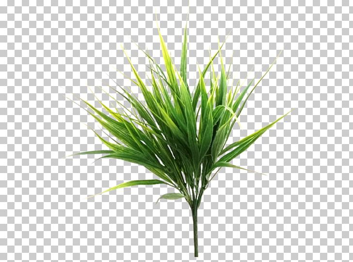 Sweet Grass Shrub Artificial Flower Plant Stem PNG, Clipart, Artificial Flower, Bamboo, Box, Commodity, Flower Free PNG Download