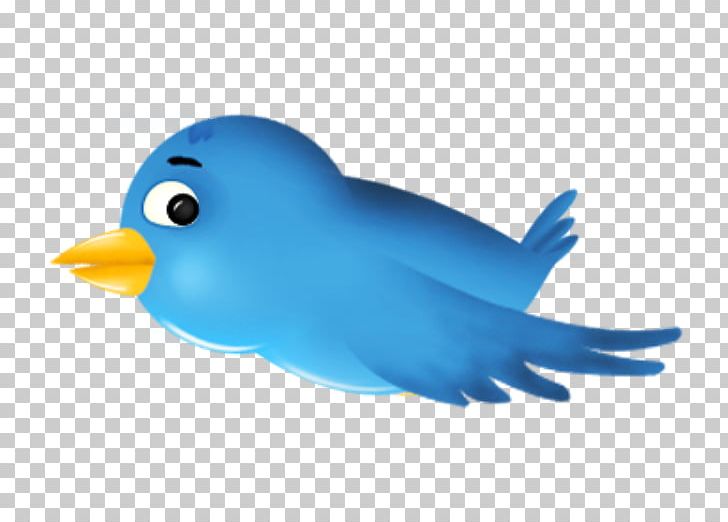Bird Social Media Computer Icons PNG, Clipart, Animals, Beak, Bird, Blog, Button Free PNG Download