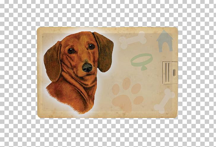 Dachshund Puppy Dog Breed Scent Hound Pet PNG, Clipart, Airbrush, Animals, Breed, Carnivoran, Cushion Free PNG Download