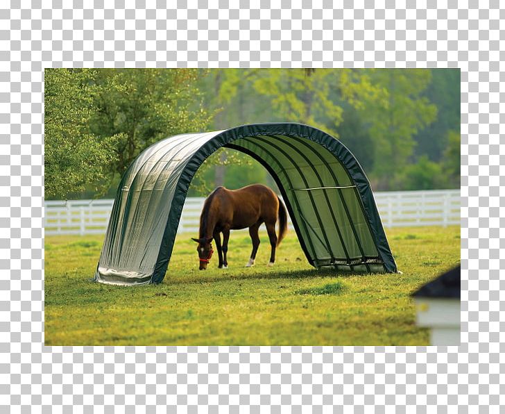 Horse Shed Stable Animal Shelter PNG, Clipart, Animal Shelter, Building, Canopy, Carport, Garage Free PNG Download