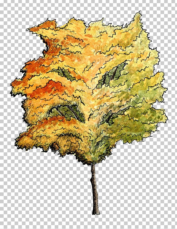 Tree Watercolor Painting Architecture Plant Drawing PNG, Clipart, Architectural Drawing, Architectural Plan, Architecture, Autumn, Drawing Free PNG Download