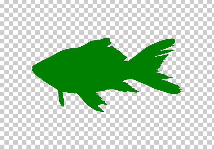 Fish Silhouette PNG, Clipart, Amphibian, Animals, Beak, Bluefish, Computer Icons Free PNG Download