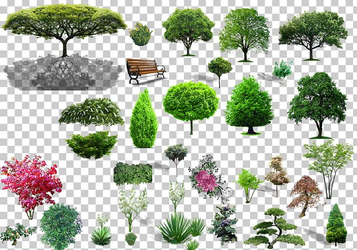 Tree Shrub Landscape PNG, Clipart, Architecture, Birdseye View, Download, Ecosystem, Encapsulated Postscript Free PNG Download