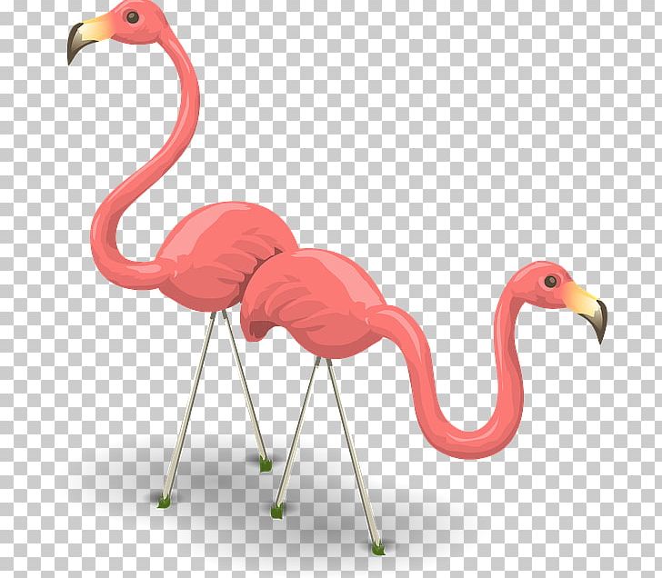 Water Bird Flamingo Photography PNG, Clipart, Animal Figure, Animals, Beak, Bird, Ciconiiformes Free PNG Download