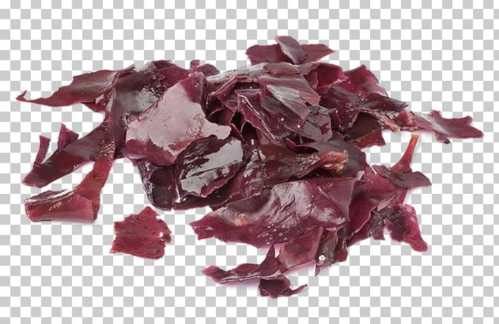 Dulse Seaweed Health Food Vegetable PNG, Clipart, Bacon, Cooking, Da Hong Pao, Dulse, Eating Free PNG Download