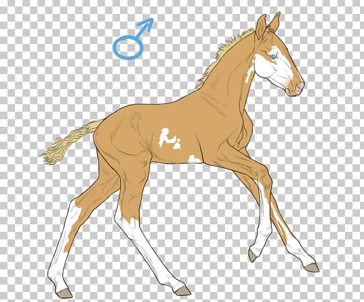 Foal Colt Mustang Stallion Pony PNG, Clipart, Ani, Bit, Bridle, Chestnut, Colt Free PNG Download