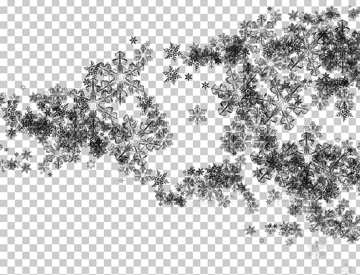 Photography PNG, Clipart, Art, Black, Black And White, Branch, Christmas Free PNG Download