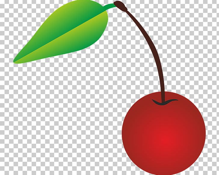 Sweet Cherry PNG, Clipart, Cherry, Cherry Blossom, Display Resolution, Download, Food Free PNG Download