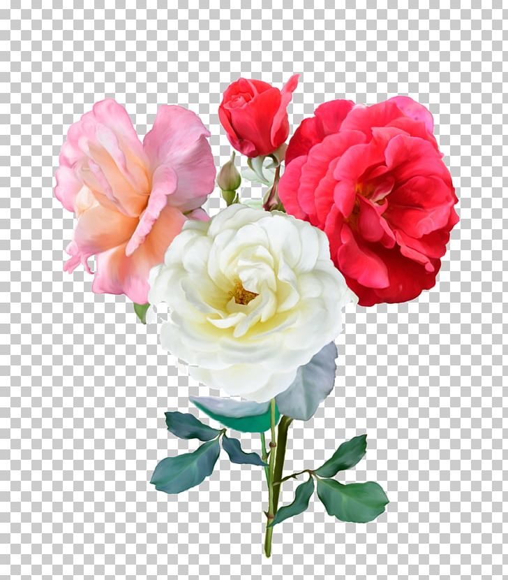 Rose Stock Photography Illustration PNG, Clipart, Annual Plant, Artificial Flower, Bloom, Botany, Floribunda Free PNG Download