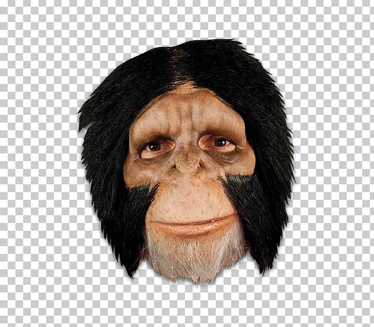Latex Mask Common Chimpanzee Party City Halloween PNG, Clipart, Chimp, Chimpanzee, Common Chimpanzee, Costume, Domino Mask Free PNG Download