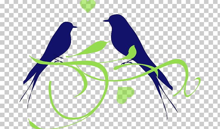 Lovebird PNG, Clipart, Art, Beak, Bird, Branch, Feather Free PNG Download