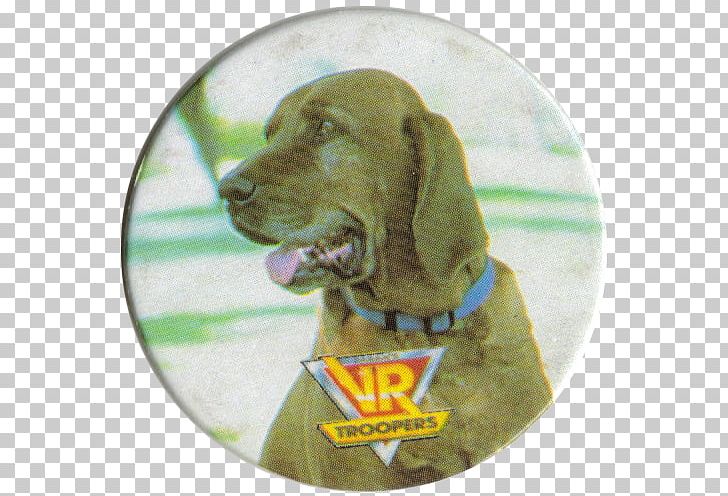 Redbone Coonhound Weimaraner Vizsla Dog Breed Children's Television Series PNG, Clipart,  Free PNG Download