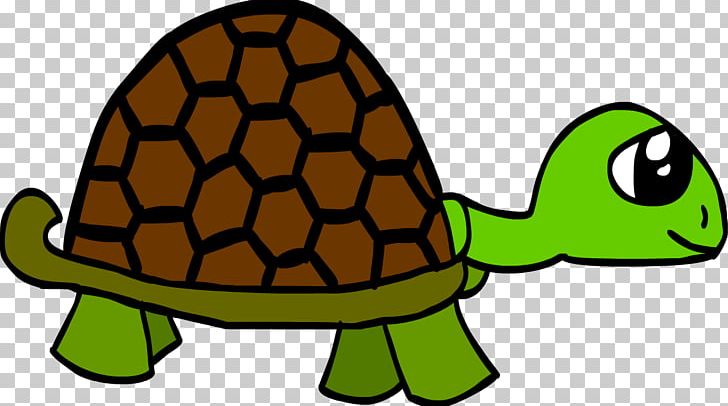 Tortoise Turtle Beer Mexico PNG, Clipart, Animal, Animals, Artwork, Beer, Cartoon Free PNG Download