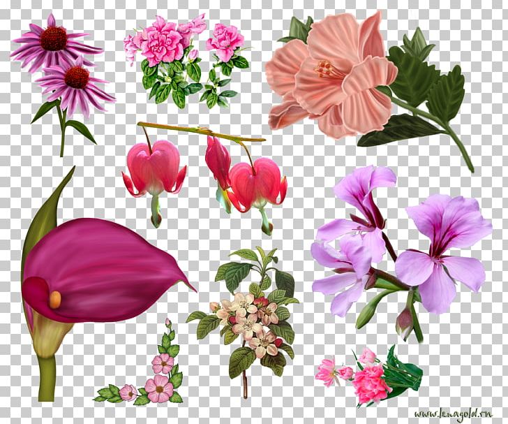 Flower PNG, Clipart, Annual Plant, Archive File, Blumen, Cut Flowers, Depositfiles Free PNG Download