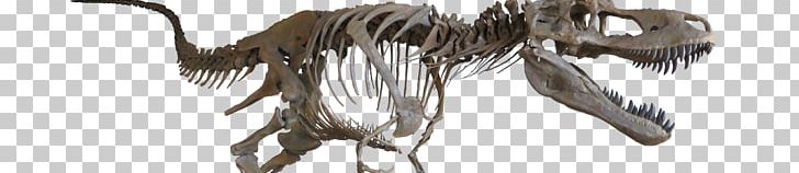 Velociraptor Tyrannosaurus Albertosaurus Late Cretaceous Daspletosaurus PNG, Clipart, Albertosaurus, Animal Figure, Beak, Carnivora, Carnivoran Free PNG Download