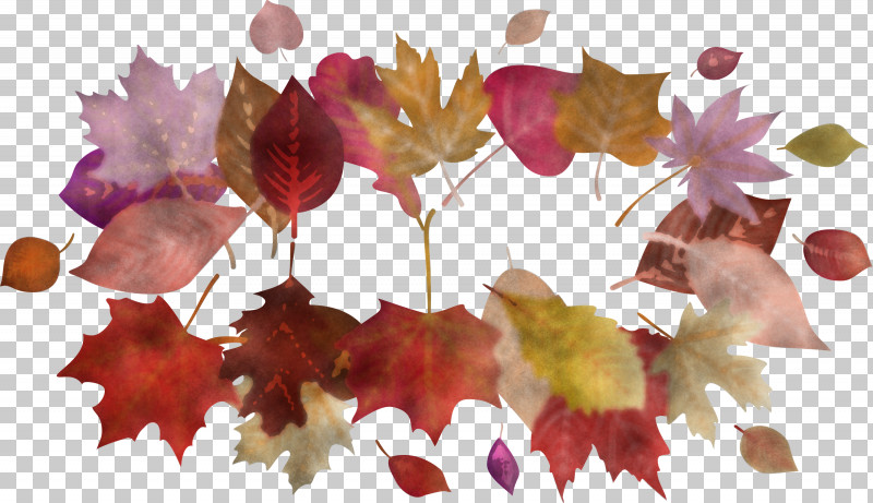 Autumn Frame Autumn Leaves Frame Leaves Frame PNG, Clipart, Autumn Frame, Autumn Leaves Frame, Bonsai, Branch, Leaf Free PNG Download