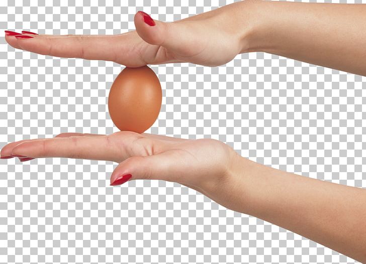 Chicken Egg Omelette PNG, Clipart, Anatomy, Arm, Egg, Eggs, Egg White Free PNG Download