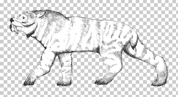 Lion Wildcat Ennedi Plateau Felidae Tiger PNG, Clipart, Animals, Artwork, Big Cats, Carnivoran, Cat Free PNG Download