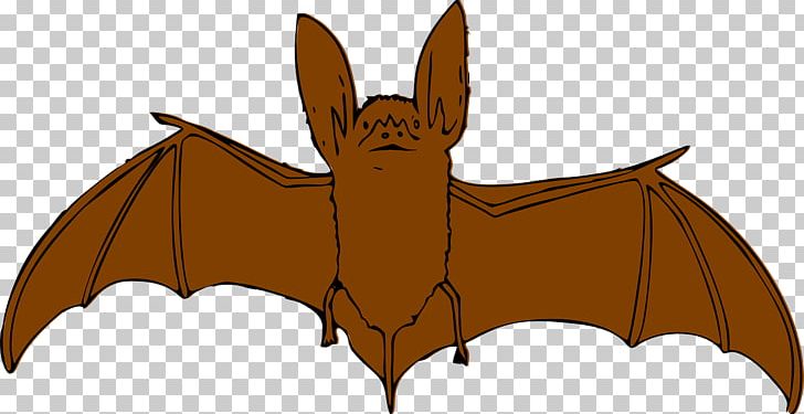 Bat Free Content PNG, Clipart, Animals, Bat, Brown, Brown Background, Brown Longeared Bat Free PNG Download