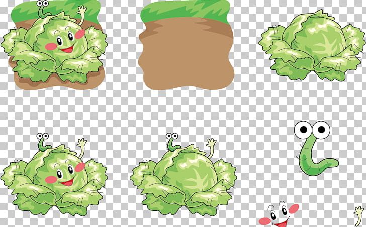 Cabbage Vegetable Cartoon Illustration PNG, Clipart, Cabbage Vector, Chinese Cabbage, Download, Emoticon, Express Free PNG Download