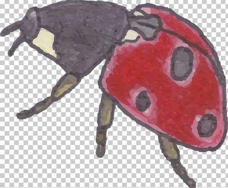 Ladybird Insect Coccinella Septempunctata PNG, Clipart, Arthropod, Beetle, Coccinella Septempunctata, Decoration, Diagram Free PNG Download