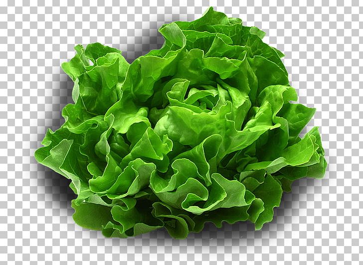 Leaf Vegetable Smoothie Iceberg Lettuce Food PNG, Clipart, Collard Greens, Diet, Extra Virgin, Extra Virgin Olive Oil, Food Free PNG Download