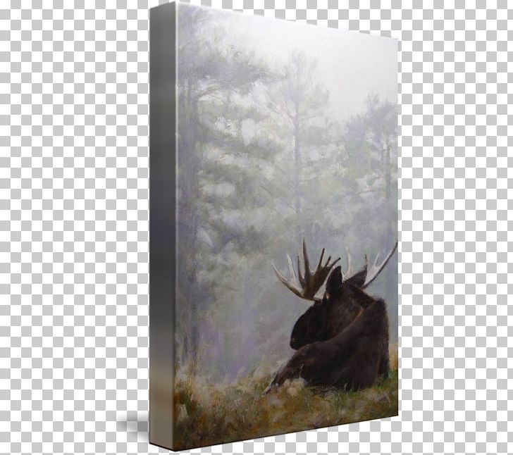 Moose Antler Stock Photography Tundra PNG, Clipart, Antler, Fauna, Foggy Forest, Horn, Moose Free PNG Download