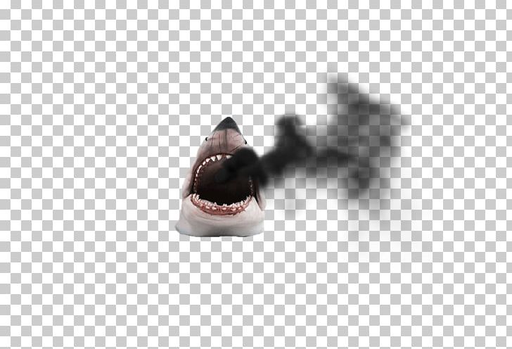 Whale Shark Dog Breed Shark Attack Animal PNG, Clipart, 2headed Shark Attack, Animal, Animals, Art, Binary Large Object Free PNG Download