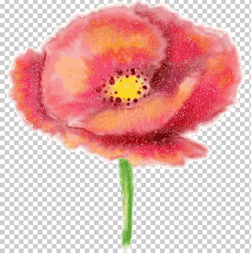 Flower Pink Watercolor Paint Plant Petal PNG, Clipart, Anemone, Coquelicot, Cut Flowers, Flower, Oriental Poppy Free PNG Download