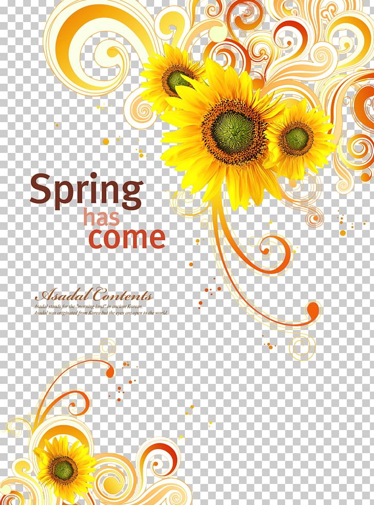 Common Sunflower PNG, Clipart, Daisy Family, Encapsulated Postscript, Flower, Flower Arranging, Flowers Free PNG Download