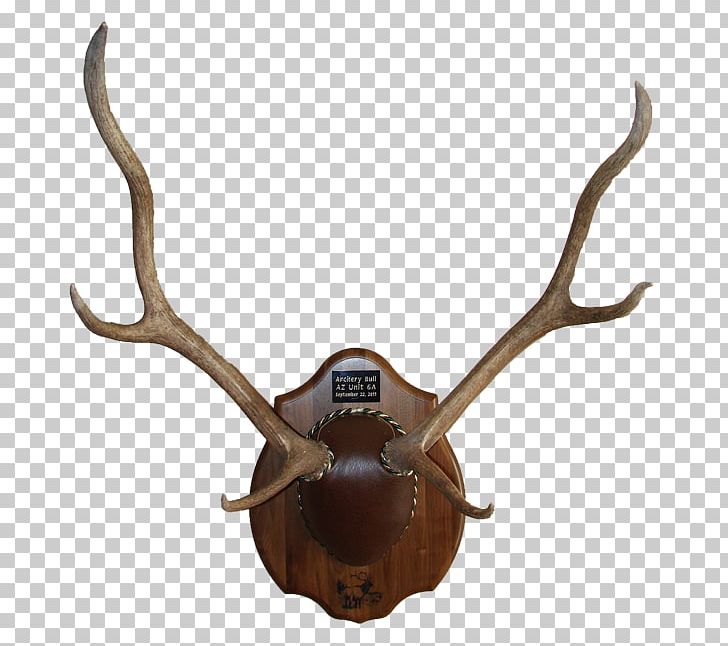 Deer Antler Trophy Hunting Horn Animal Product PNG, Clipart, Animal, Animal Product, Animals, Antler, Deer Free PNG Download