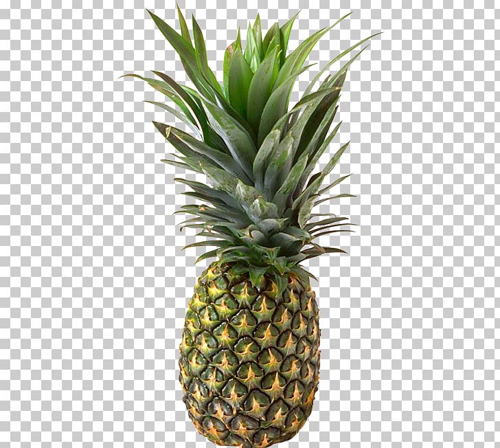 Pineapple Juice Chunk PNG, Clipart, Ananas, Bromeliaceae, Chunk, Download, Flowerpot Free PNG Download