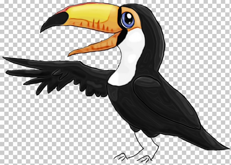 Toucans Hornbill Piciformes Beak Science PNG, Clipart, Beak, Biology, Hornbill, Paint, Piciformes Free PNG Download