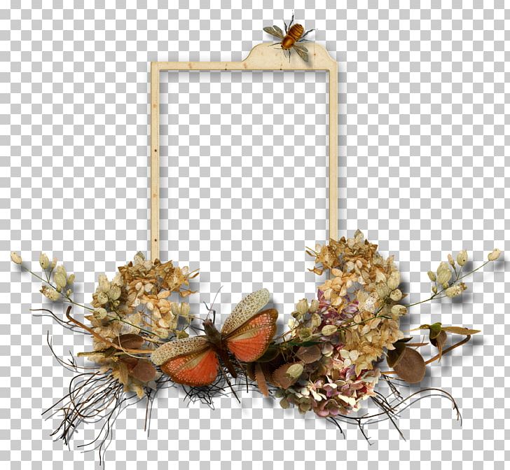 Animation PNG, Clipart, Animation, Blog, Border Frames, Butterfly, Cartoon Free PNG Download