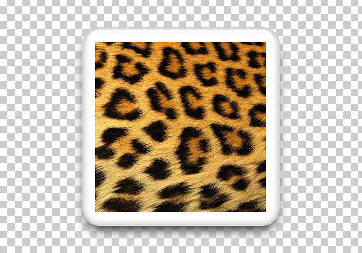 Cheetah Jaguar Animal Print Tiger Ocelot PNG, Clipart, African Leopard, Amur Leopard, Animal Print, Animals, Big Cats Free PNG Download