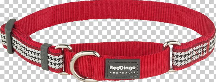 Dog Collar Dingo Martingale PNG, Clipart, Cat, Collar, Dingo, Dog, Dogcat Relationship Free PNG Download