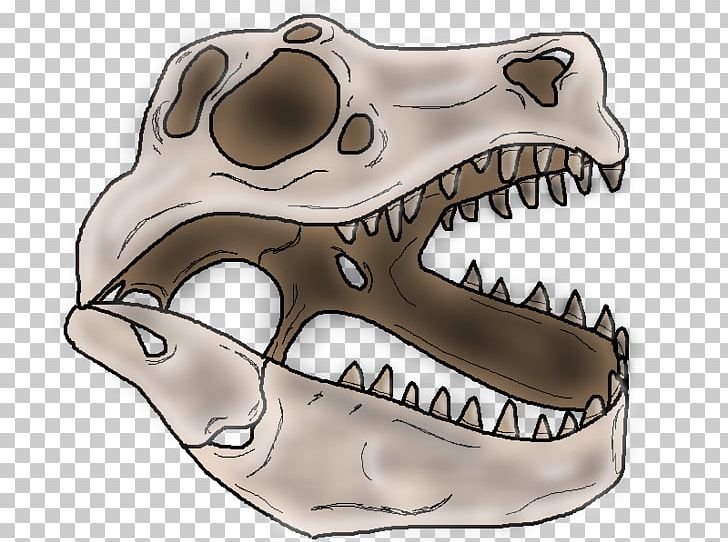 Skull Dinosaur Skeleton Snout PNG, Clipart, Bone, Dinosaur, Fantasy, Jaw, Mouth Free PNG Download