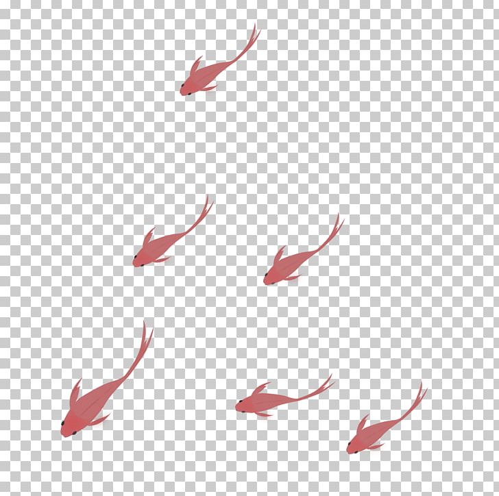 Red Fish Drawing PNG, Clipart, Angle, Animals, Bird, Designer, Download Free PNG Download