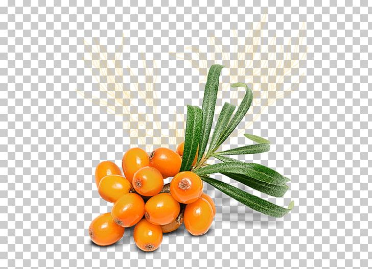 Seaberry Face Mask Sea Buckthorn Oil Cosmetics PNG, Clipart, Cleanser, Cosmetics, Diet Food, Face, Facial Free PNG Download
