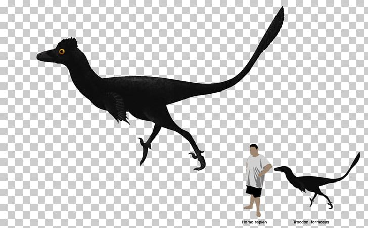 Velociraptor Fauna Beak PNG, Clipart, Beak, Dinosaur, Fauna, Organism, Others Free PNG Download