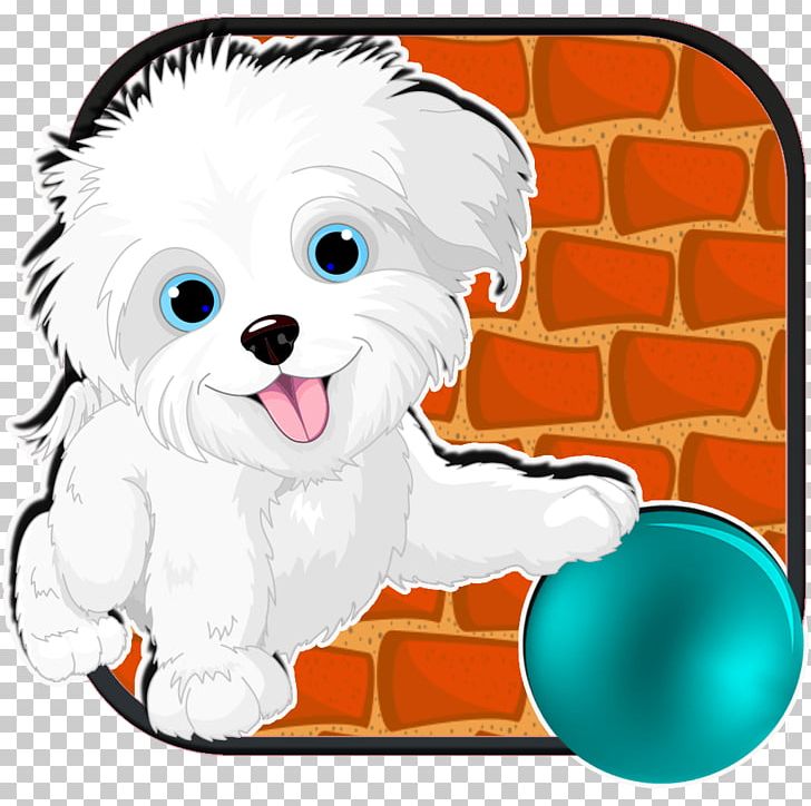 Yorkshire Terrier Puppy Companion Dog Dog Breed PNG, Clipart, Animal, Animals, Canidae, Carnivora, Carnivoran Free PNG Download
