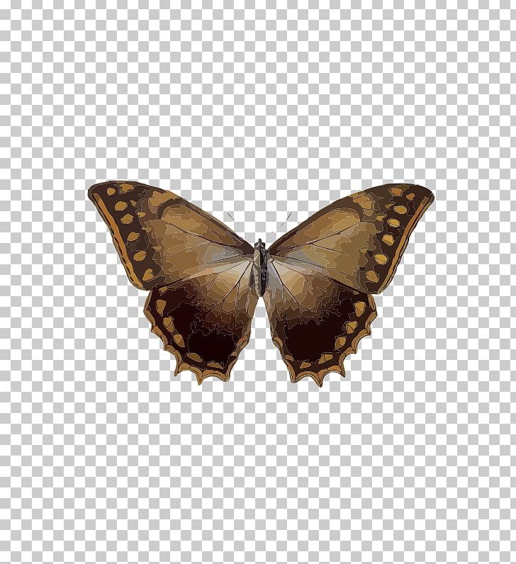 Butterfly Insect Menelaus Blue Morpho Rhetenor Blue Morpho PNG, Clipart, Arthropod, Blue Morpho, Butterfly, Common Blue Morpho, Indian White Admiral Free PNG Download